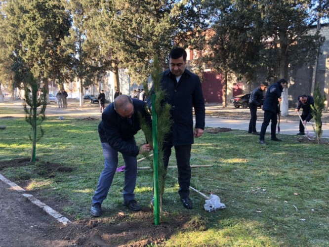 Niyazi Bayramov genişmiqyaslı iməclikdə iştirak etdi - FOTOLAR